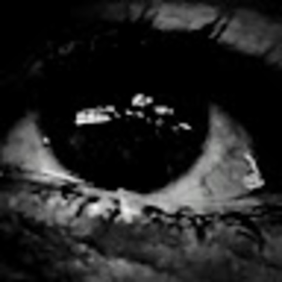 Meet your Posher, Gram - Picture 1 of 1